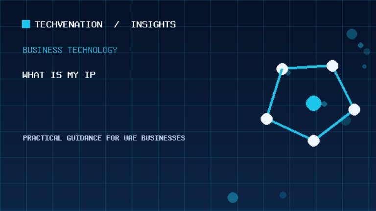 What Is My IP? Check Public IPv4, IPv6 and Local IP Free